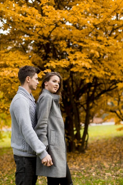 Young couple in the autumn forest — Stock Photo, Image