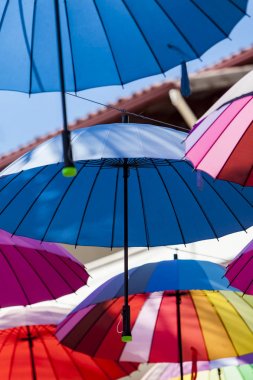 güneşli bir günde renkli şemsiyeler