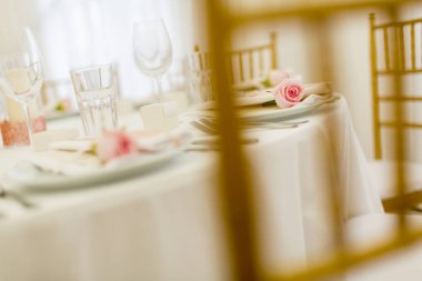 Şık düğün dekorasyon. Pembe gül üzerinde odaklanmak