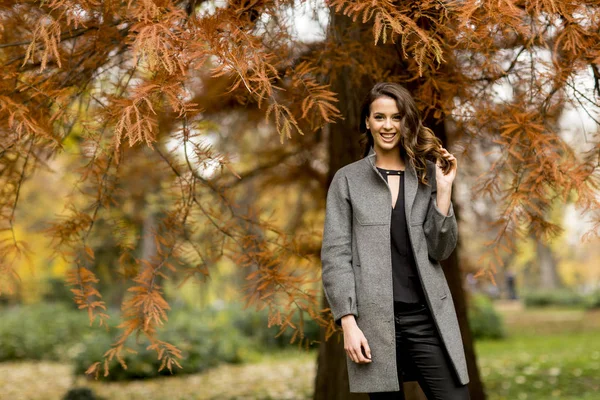 Mujer joven en el bosque de otoño — Foto de Stock