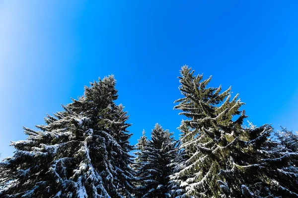 Winterdag op de bergen — Stockfoto