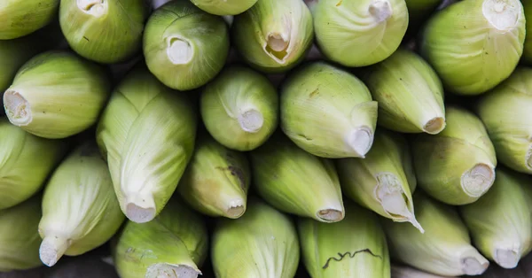 Maïskolf en groene bladeren — Stockfoto