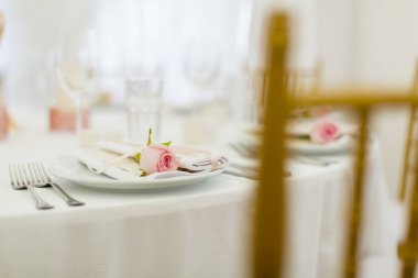 Şık düğün dekorasyon. Pembe gül üzerinde odaklanmak