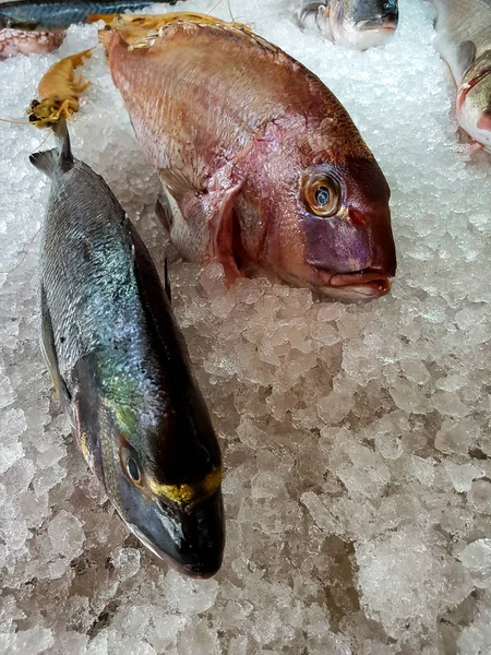 Pescado sobre hielo —  Fotos de Stock