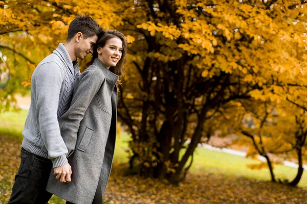 Bella coppia nella foresta autunnale — Foto Stock