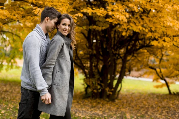 Hermosa pareja en el bosque de otoño —  Fotos de Stock
