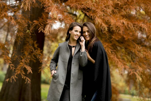 Två vackra unga kvinnor som använder mobiltelefon — Stockfoto