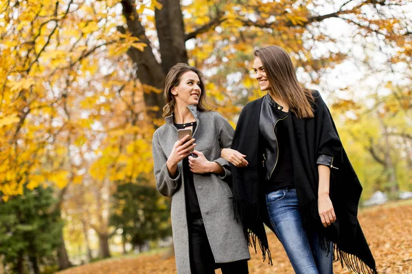 Duas jovens mulheres bonitas na floresta de outono — Fotografia de Stock