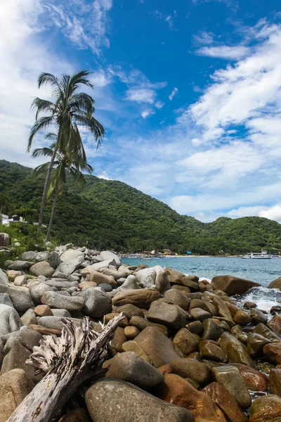 Playa Las Animas в Мексике — стоковое фото