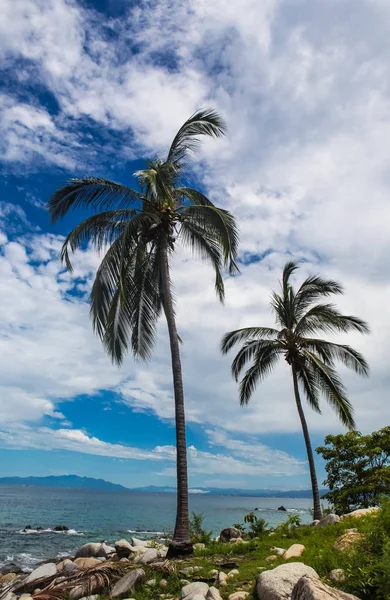 Industriële apparatuur en benodigdheden in Mexico — Stockfoto