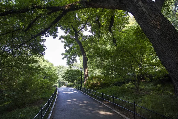 Central Park, New York, Amerikai Egyesült Államok — Stock Fotó