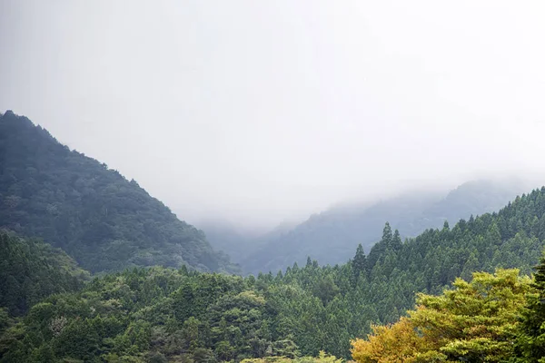 Mglisty wsi w Nikko — Zdjęcie stockowe