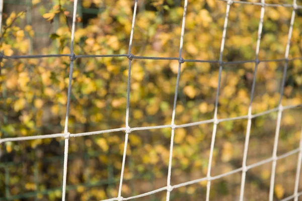 Red de fútbol, acercamiento —  Fotos de Stock