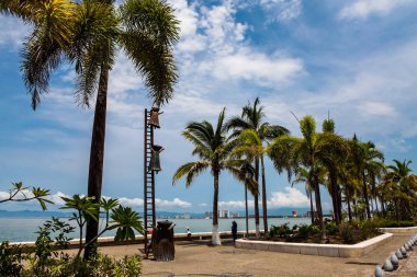 Neden heykel Puerto Vallarta adlı arama