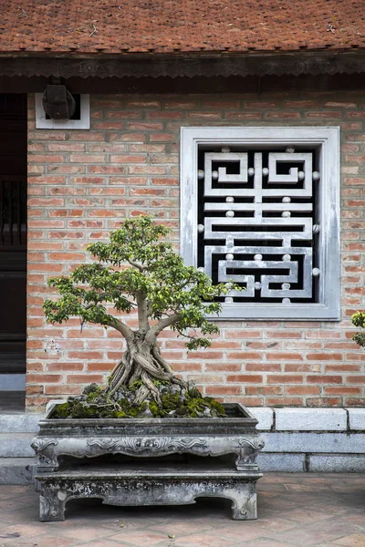 Tempel van de literatuur in Hanoi, Vietnam — Stockfoto