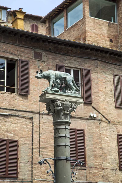 Piazza Tolomei Siena Romulus ve Remus heykeli — Stok fotoğraf