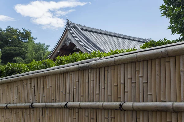 京都嵐山の竹林 — ストック写真