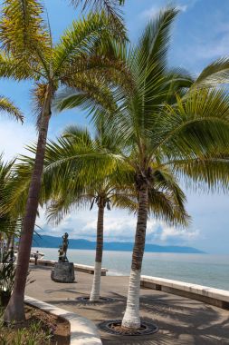Puerto Vallarta Meksika, Triton ve Nereida heykel