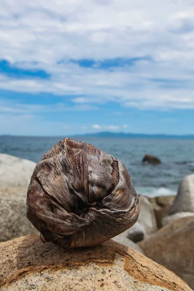 Playa Las Animas v Mexiku — Stock fotografie