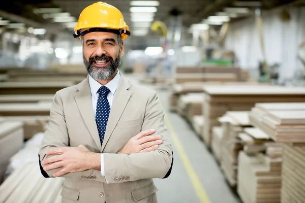 Middle-aged businessman in factory — Stock Photo, Image