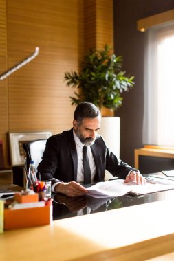 Modern ofis içinde laptop üzerinde çalışan üst düzey iş adamı