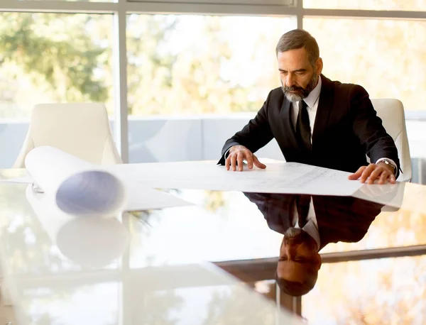 Handsome middle aged businessman looking at the plans — Stock Photo, Image