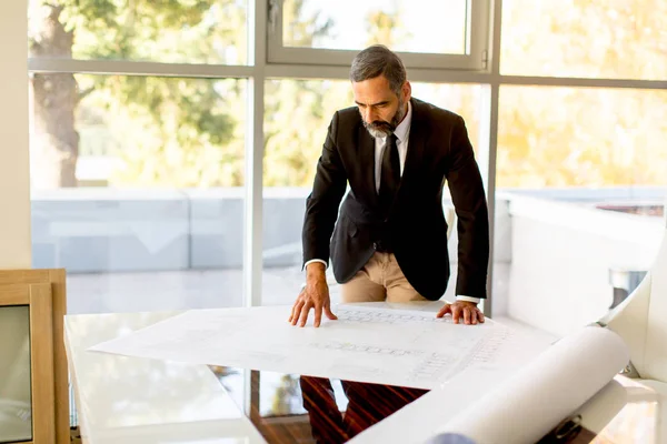 Senior Businessman Analyzes Project Office Table — Stock Photo, Image