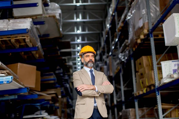 Retrato de hombre de negocios senior con traje y casco en un almacén — Foto de Stock