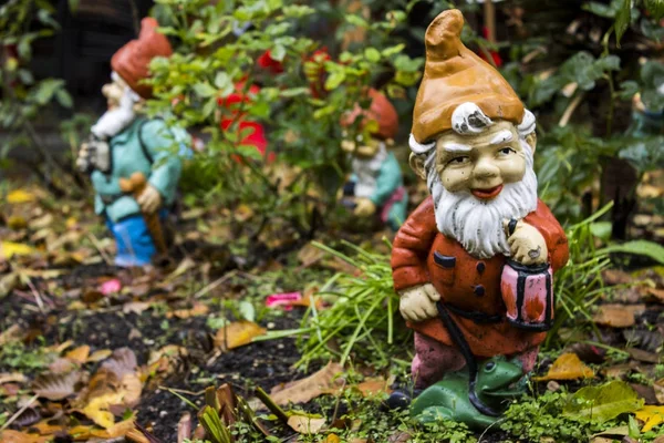 Nahaufnahme Der Gartenzwerge Herbstlichen Hinterhof — Stockfoto