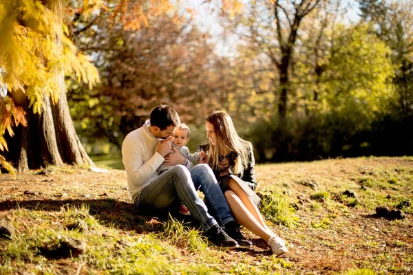 Näkymä Nuori Perhe Istuu Maassa Syksyllä Puistossa — kuvapankkivalokuva
