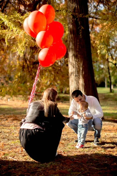 Joyeux jeunes parents avec bébé garçon dans le parc d'automne tenant bal rouge — Photo