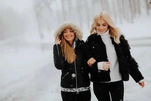 Duas jovens mulheres em um parque de inverno — Fotografia de Stock