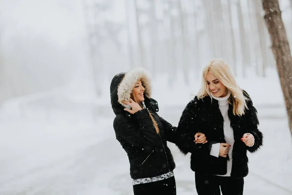 Two young women in a winter park — Stock Photo, Image