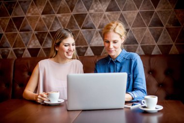 Cafe masa başına oturmuş dizüstü olan genç kadın