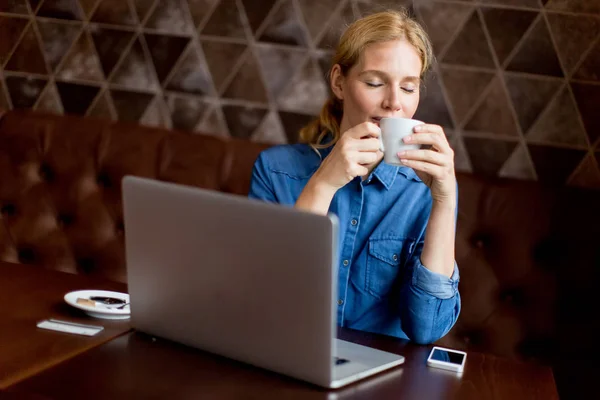 Προσωπογραφία Γυναίκας Ελεύθερος Επαγγελματίας Εργάζεται Για Laptop Στο Καφενείο Και — Φωτογραφία Αρχείου