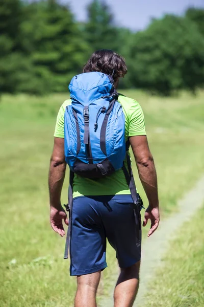 緑の自然 ハイキングのバックパックで若い男を背面します — ストック写真