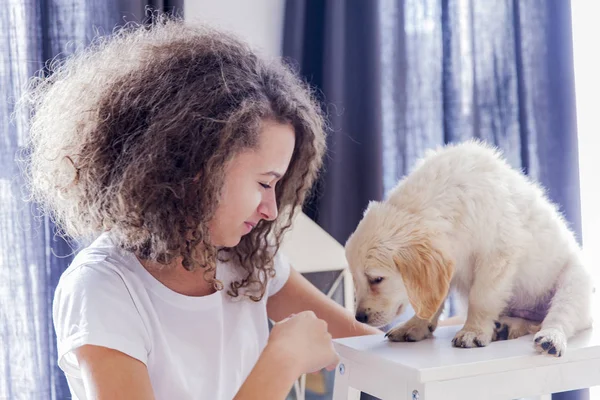 Tonåring flicka med en liten golden retriever — Stockfoto