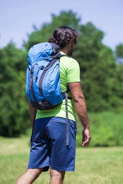 Вид Ззаду Молодого Чоловіка Рюкзаком Пішохідний Зеленій Природі — стокове фото