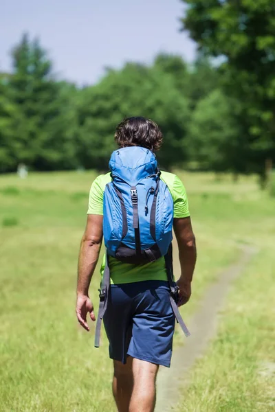 背景色在年轻人与背包徒步旅行在绿色自然 — 图库照片