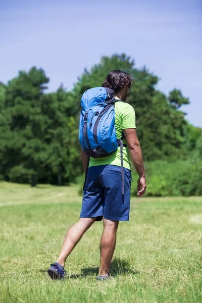 背景色在年轻人与背包徒步旅行在绿色自然 — 图库照片