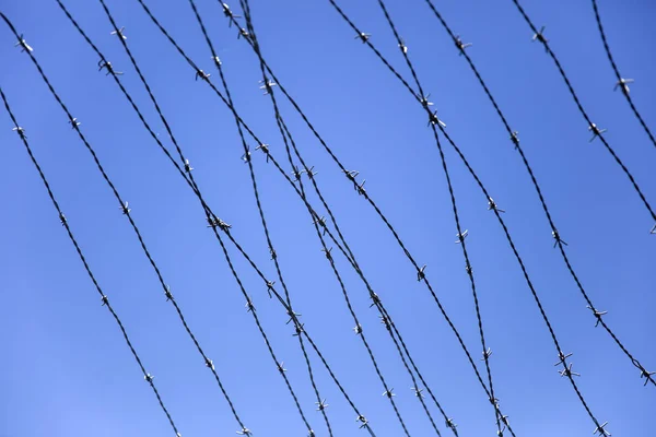 Mavi Gökyüzünün Altında Barbwire Closeup — Stok fotoğraf