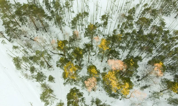 Vista aérea em Divcibare, Sérvia — Fotografia de Stock