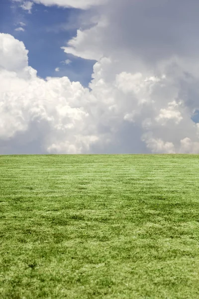 Vue sur herbe verte et ciel nuageux bleu — Photo