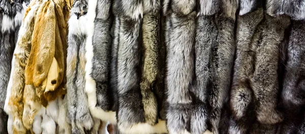 Closeup Silver Red Fox Furs — Stock Photo, Image