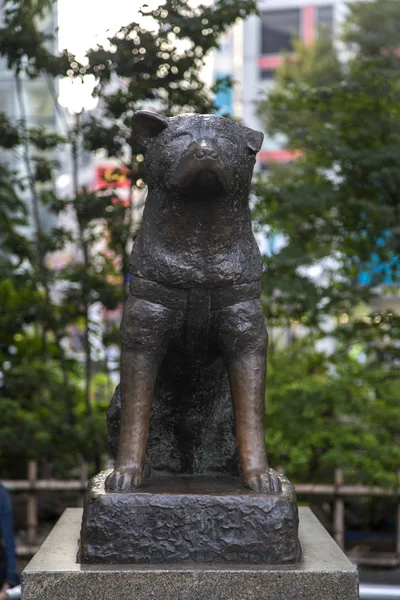 東京都渋谷区の東京 2016 八高記念像 それは有名な忠実な秋田犬ハチ公を称える銅像です — ストック写真