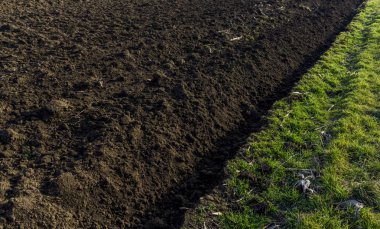 Erken Bahar zamanında çiftlikte ekilebilir alan