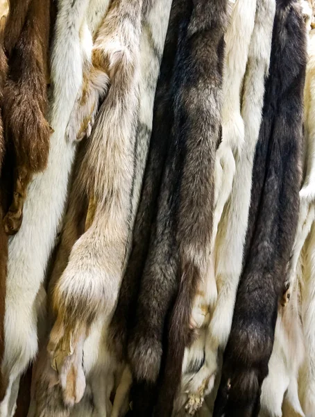 Nahaufnahme Der Natürlichen Arktischen Fuchsfelle — Stockfoto