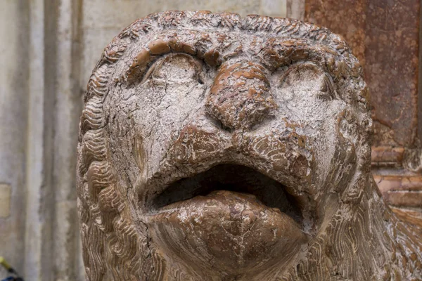 Vista Escultura León Con Rezo Frente Duomo Módena Italia — Foto de Stock