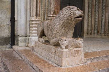 Görünümü ile aslan heykeli, dua önünde Duomo Modena, İtalya