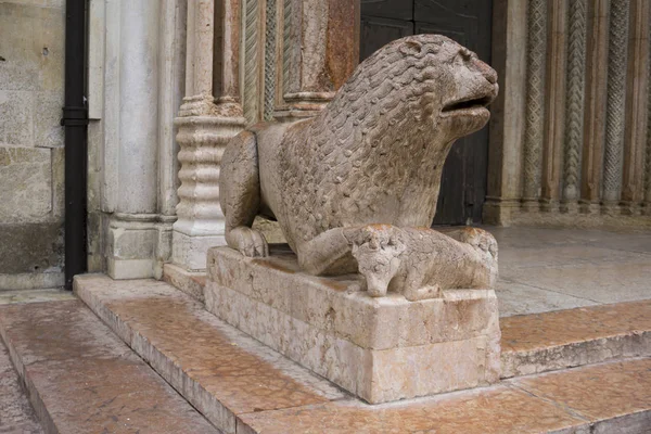 Вид Скульптуру Льва Фабрегасом Перед Дуомо Модене Италия — стоковое фото